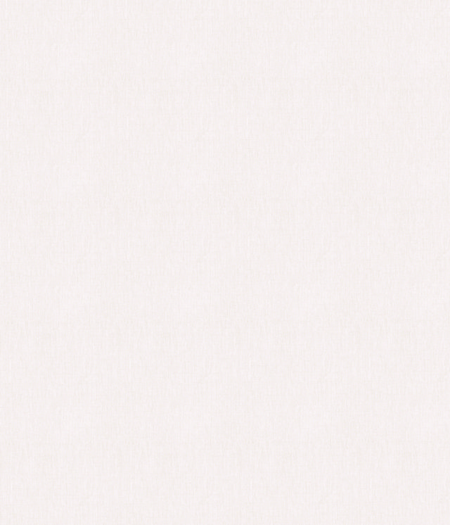 ZN004-1 (FILEminimizer)